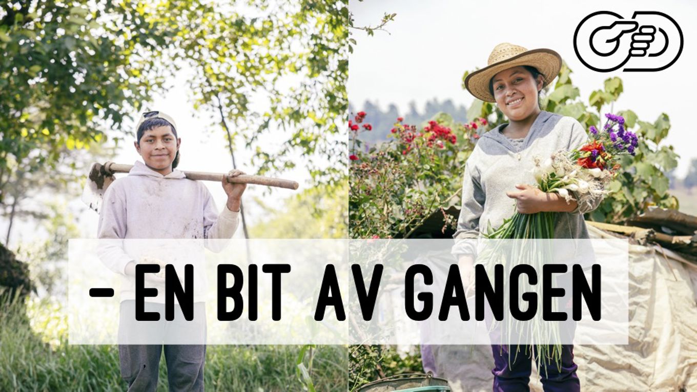 OD - en bit av gangen